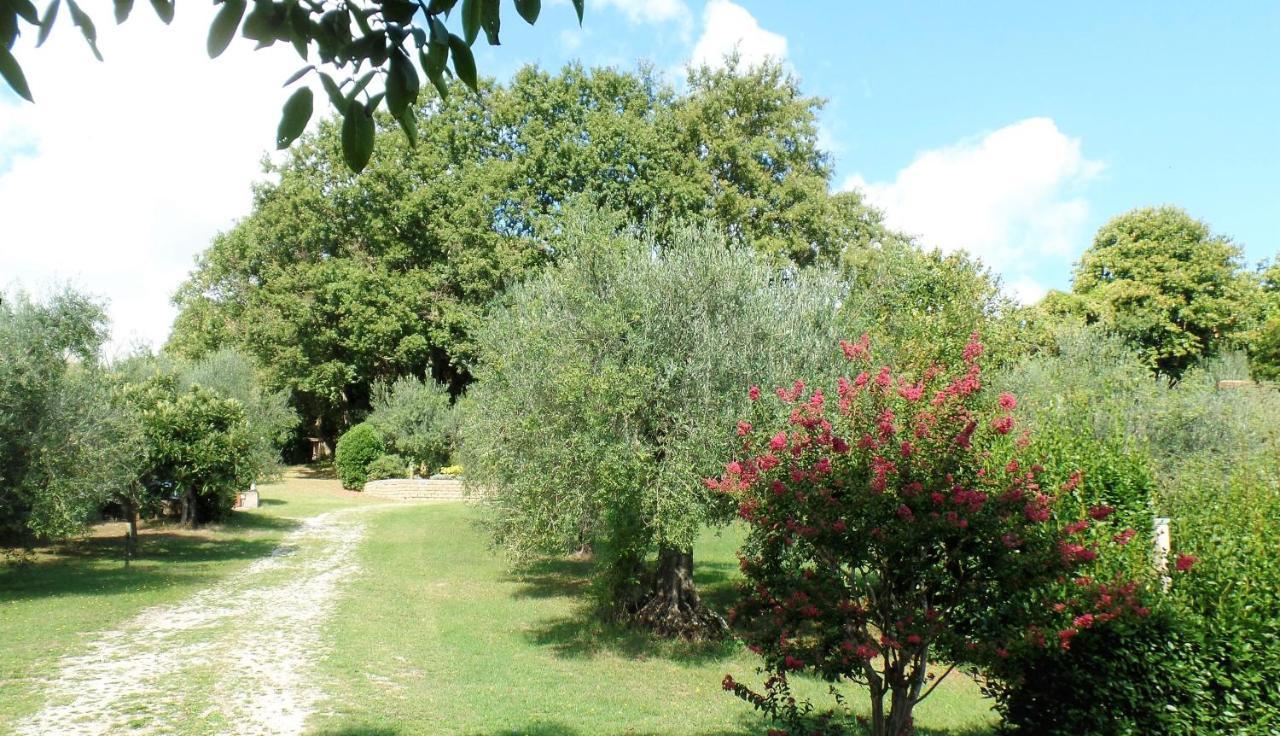Poggiolindo B&B Capodimonte Exterior foto